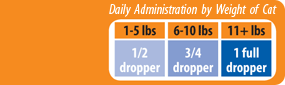 HyaFlex™ administration chart