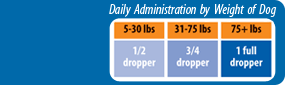 HyaFlex™ administration chart HyaFlex™ administration chart