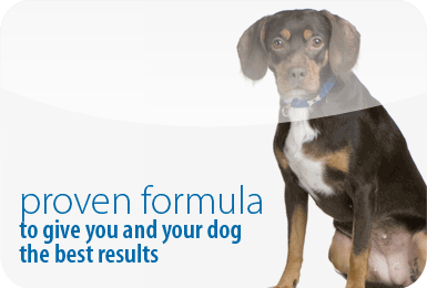 Proven formula to give you and your dog the best results